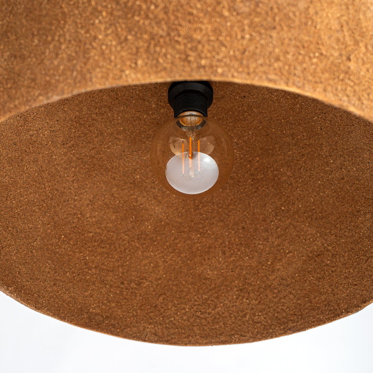 SWOLGEN CEILING LAMP