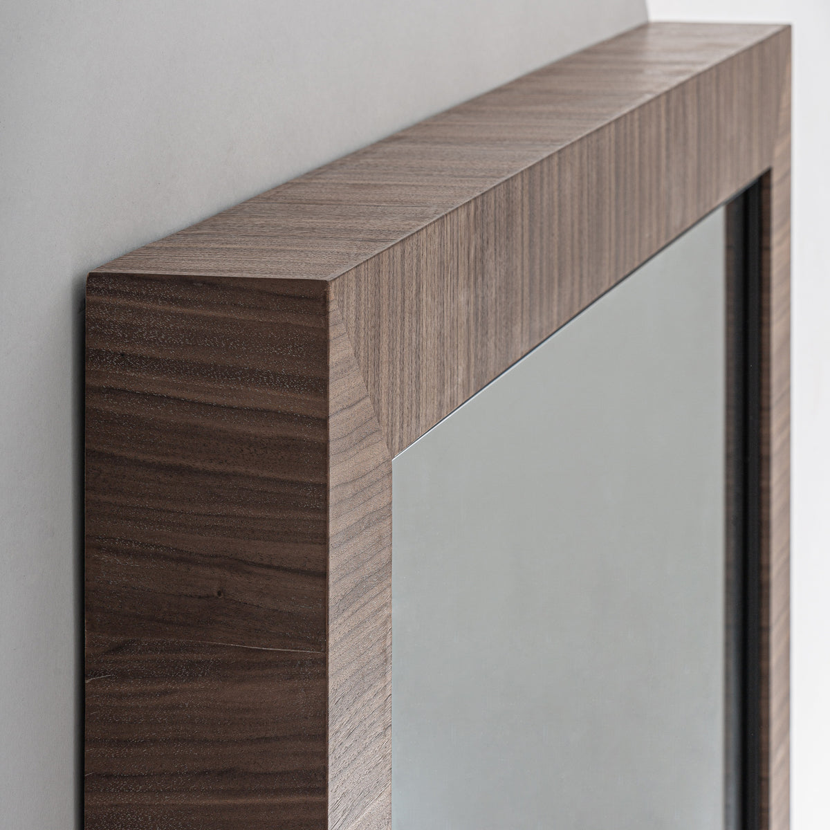 RHEIN MIRROR
