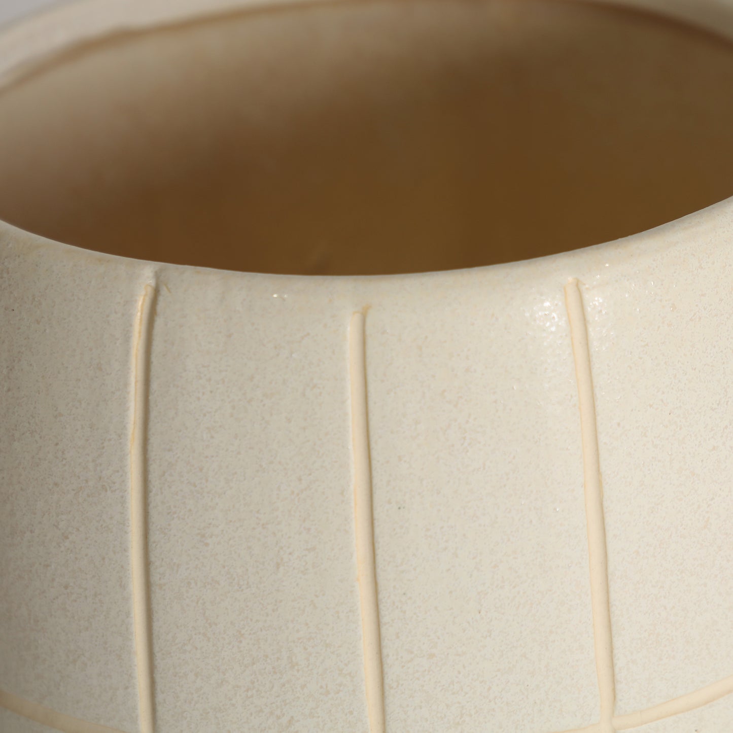 CHEWY PLANT POT