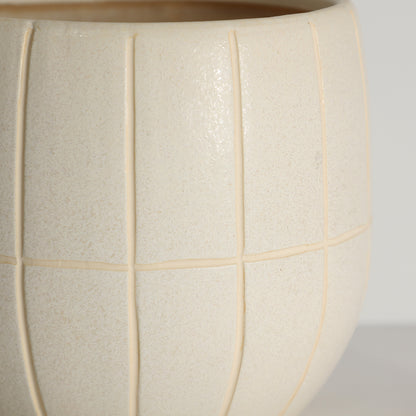 CHEWY PLANT POT